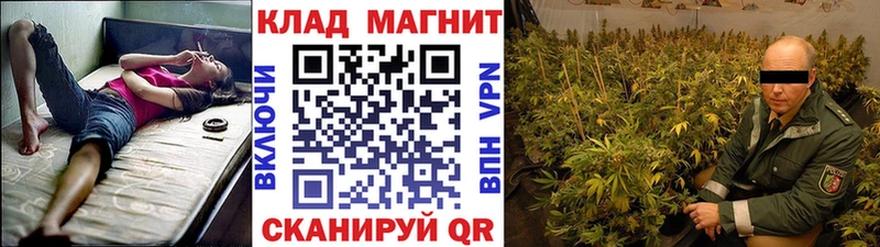 Псилоцибиновые грибы Брянск