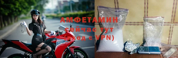 PSILOCYBIN Вязьма