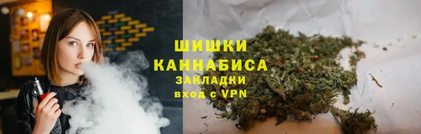 PSILOCYBIN Вязьма
