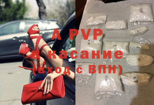 стафф Вяземский