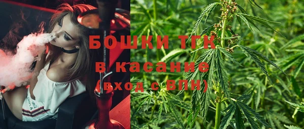 стафф Вяземский