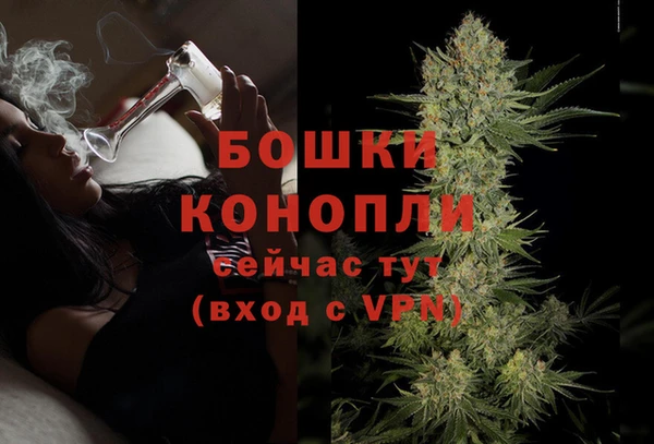 PSILOCYBIN Вязьма