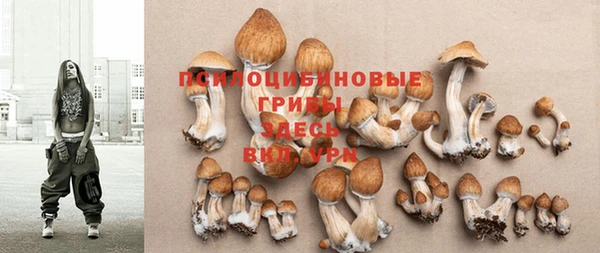 PSILOCYBIN Вязьма