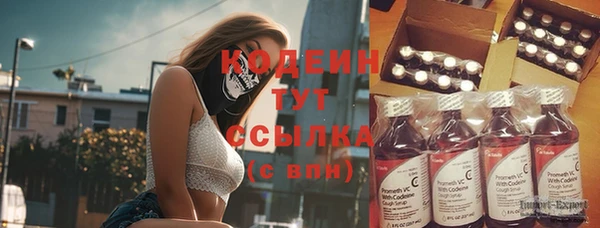 стафф Вяземский