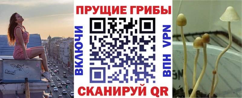 Галлюциногенные грибы GOLDEN TEACHER Брянск