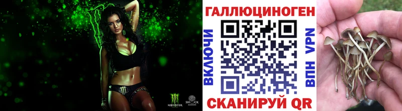 Галлюциногенные грибы Psilocybine cubensis  Купить закладки  Брянск 